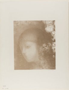  بواسطة Odilon Redon