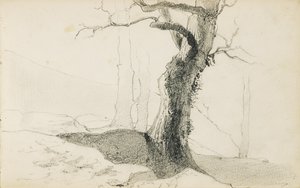 رسم من ألبوم بعنوان "بلاد الباسك" ، 1862-1863 بواسطة Odilon Redon