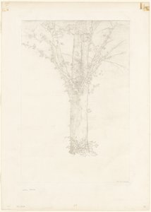 شجرة بواسطة Odilon Redon