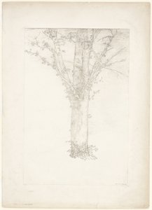 شجرة بواسطة Odilon Redon