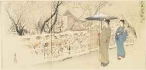 Garyo_bai Plum in Kameido ، ديسمبر 1895 بواسطة أوغاتا جيكو