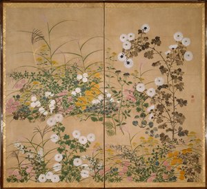 النباتات المزهرة في الخريف - كورين ، أوغاتا (1658-1716) - القرن الثامن عشر - ألوان مائية وحبر على ورق - 154 × 173 - متحف سنتوري للفنون بواسطة أوغاتا كورين