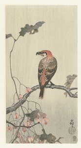 Crossbill على فرع شجرة بواسطة أكياما بويمون