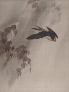 ابتلاع في المطر ، كاليفورنيا. 1891-92. بواسطة اوكادا بايسون