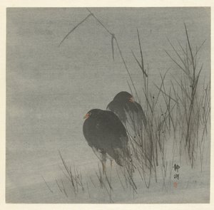 اثنين من الغرس بين القصب بواسطة Okuhara Seiko