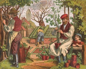 البستنة ، 1871