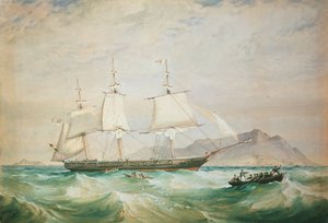 HMS Hornet ، 1861