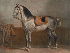 Lipizzaner بواسطة أوتو إيريلمان