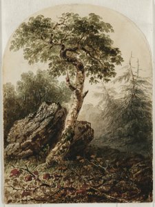 منظر طبيعي مع شجرة البتولا ، 1859 (مرحاض مع آثار قلم رصاص وربما لمسات من الغواش على ورق نسج كريمي) بواسطة أوين جي هانكس