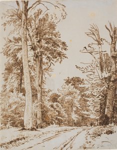 طريق الغابة. Iselinge بواسطة PC Skovgaard