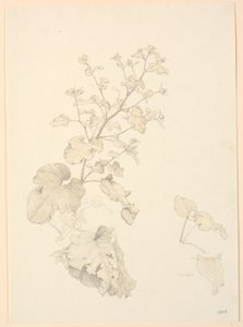 مصانع القمامة. بواسطة PC Skovgaard