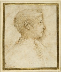 Bust of a boy in profile to the right (pen & brown ink on white paper) بواسطة Parmigianino