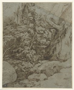 دراسة المناظر الطبيعية بواسطة Parmigianino