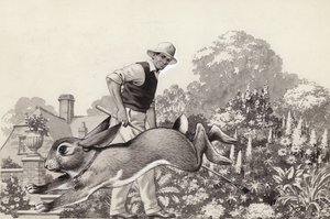 أرنب يركض حول حديقة في طوق قطط (غواش على ورق)