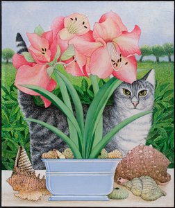 استكشاف الاحتمالات، 2011 (أكريليك على كاليكو) بواسطة بات سكوت