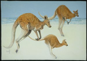 القفز إلى الأمام بواسطة بات سكوت