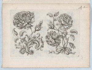 سلسلة من الزخارف الزهرية الصغيرة ، اللوحة 5 ، كاليفورنيا. 1670-85. ، كاليفورنيا. 1670-85. بواسطة بول أندرويت دو سيرسو