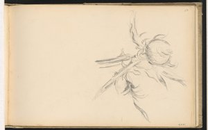 شوك بواسطة بول سيزان