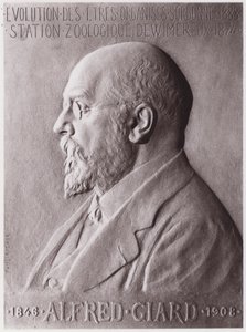 ألفريد جيار (1846-1908) ، عالم الحيوان ، صورة (ليثو) بواسطة بول ماري لويس بيير ريتشر