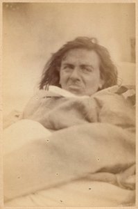 الصرع الهستيري ، الهلوسة ، الاشمئزاز ، اللوحة XXXV من `` Iconographie Photographique de La Salpetriere &39;&39; بورنفيل و ب. ريجنارد ، باريس ، 1876 (طبعة زيلية)