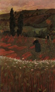 حصاد الحنطة السوداء 1899. بواسطة بول سيروسييه