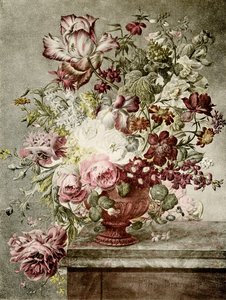 رسم زهرة