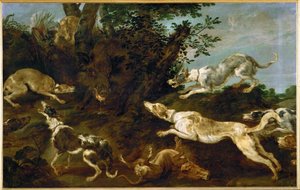 صيد الخنازير