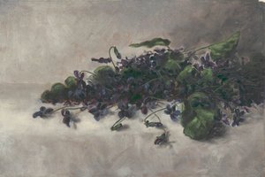 البنفسج ، كاليفورنيا. 1890. بواسطة بولين باول بيرنز