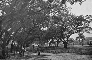 Avenida de Tiradentes ، 1895