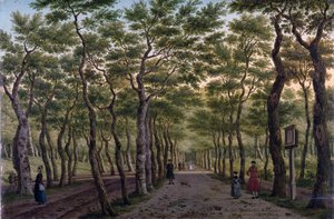 Herepad في Haagse Bos بواسطة بول كونستانتين لافارج