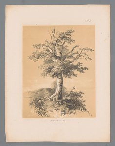 فقاعة وجوه خلابة لبولوس لوترز (عنوان المسلسل) Etrennes pittoresques pour 1839 ، بواسطة Lauters (عنوان السلسلة)