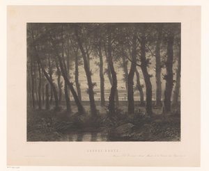 المناظر الطبيعية للغابات مع الطيور الطائرة طريق غراندي (العنوان على الكائن)