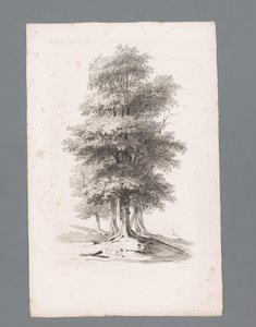 مجموعة مع خمس أشجار مبادئ المناظر الطبيعية (عنوان السلسلة) Principes de paysages (عنوان السلسلة) بواسطة باولوس لوترز