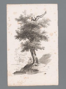 منظر طبيعي مع شجرة مبادئ المناظر الطبيعية (عنوان السلسلة) Principes de paysages (عنوان السلسلة)