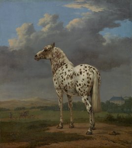 بيبالد هورس ، 1654