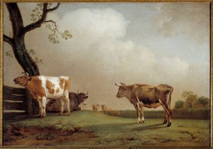 المروج قطيع من الأبقار في مرحلة ما قبل. لوحة بول بوتر (1625-1654) 1652 صن. 0،84x1،21 م