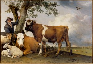 الثور الصغير: راع وبقر ماشيته ولحم ضأن وبقر وثور. لوحة بول بوتر (1625-1654) 1647 صن. 2،36x3،39 م لاهاي. موريتشويس