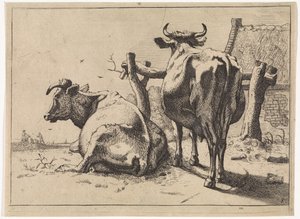 اثنين من الأبقار ينظر إليها من خلف Het Bullenboek (عنوان المسلسل) بواسطة مجهول