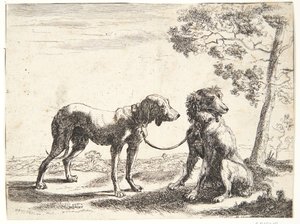 كلبان مرتبطان ببعضهما البعض بواسطة Paulus van Hillegaert (II)