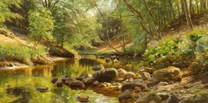P.Mönsted ، Sonniger Waldbach
