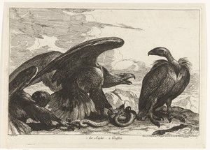 نسر ونسر مع ثعبان 1. des Aigles 2. Griffon (العنوان على الكائن) طيور من حديقة حيوانات فرساي (عنوان السلسلة)