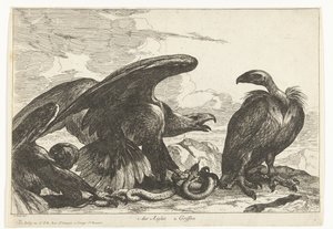 نسر ونسر مع ثعبان 1. des Aigles 2. Griffon (العنوان على الكائن) طيور من حديقة حيوانات فرساي (عنوان السلسلة)