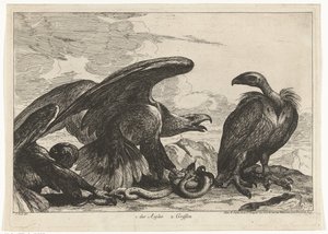 نسر ونسر مع ثعبان 1. des Aigles 2. Griffon (العنوان على الكائن) طيور من حديقة حيوانات فرساي (عنوان السلسلة)