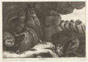البوم في الكهف des Ducs (العنوان على الكائن) طيور من حديقة حيوانات فرساي (عنوان السلسلة)