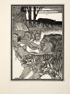 لبؤة شاكرة ، من مائة حكاية للحيوانات ، حانة. 1924 (نقش) بواسطة بيرسي جيه. بيلينجشيرست