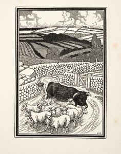 الذهاب إلى السوق ، من مائة حكاية من الحيوانات ، حانة. 1924 بواسطة بيرسي جيه. بيلينجشيرست