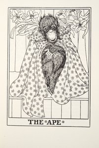 القرد ، من Fontaine Fables ، حانة. 1905