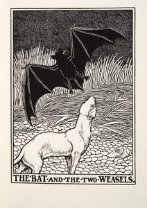 الخفاش واثنين من ابن عرس ، من Fontaine Fables ، حانة. 1905 بواسطة بيرسي جيه. بيلينجشيرست