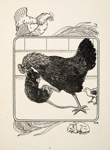 بطلة الدجاجة ، من مائة حكاية من الحيوانات ، حانة. 1924 بواسطة بيرسي جيه. بيلينجشيرست