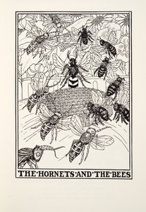 The Hornets and the Bees ، من Fontaine Fables ، حانة. 1905 (نقش) بواسطة بيرسي جيه. بيلينجشيرست